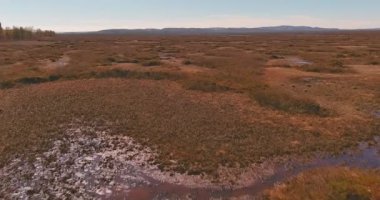 Norveç 'in güneşli bahar havasında E6 (Bugoyfjordveien) yolu üzerindeki bataklık manzarası.