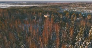 Toronsuo bataklığında kışın gözlem kulesinin havadan görünüşü. Toronsuo Ulusal Parkı Güney Finlandiya 'daki en büyük yükseltilmiş bataklıktır..