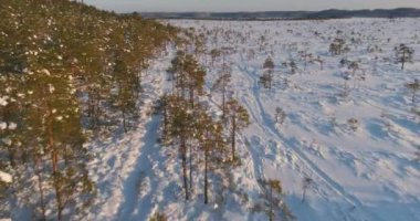 Finlandiya 'da gün batımında kış bataklığının hava manzarası karla kaplıdır. Toronsuo Ulusal Parkı Güney Finlandiya 'daki en büyük yükseltilmiş bataklıktır..