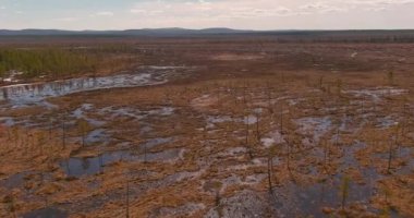 Bulutlu bahar havasında bataklık manzarası, Sodankyla, Laponya, Finlandiya.