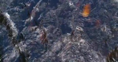 İlkbaharda akan nehir yüzeyinin soyut hava görüntüsü.