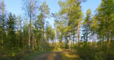 Araba bakış açısı, Niemelantie yolu boyunca giden POV güneşli bahar havasında, Virolahti, Finlandiya.