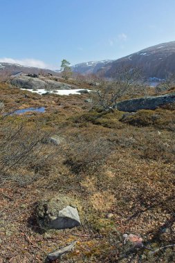 Norveç 'in güneşli bahar havasında Grense Jakobselv yolu boyunca manzara.
