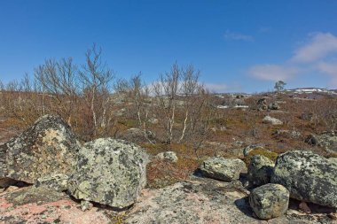 Landscape view along the Grense Jakobselv road in sunny spring weather, Norway. clipart