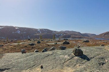 Norveç 'in güneşli bahar havasında Grense Jakobselv yolu boyunca manzara.