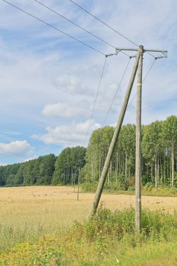 Bulutlu bir yaz gününde tahta elektrik direkleri ve elektrik hatları.