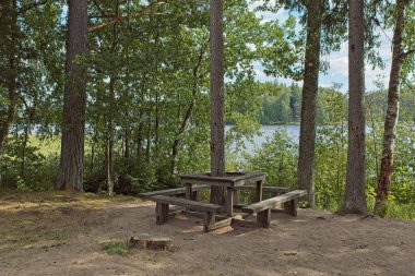 Yazın Moksi sahilindeki bir ağacın etrafında tahta bank ve piknik masası, Moksi, Finlandiya.