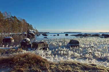 Sunny day at seashore on a cold winter day with ice on the shoreline, Uutela, Helsinki, Finland. clipart