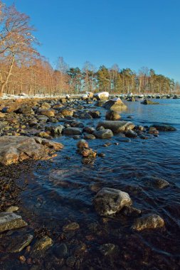 Sunny day at seashore on a cold winter day with ice on the shoreline, Uutela, Helsinki, Finland. clipart