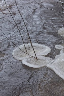 Kışın ağaç dalları etrafında oluşan buz salları, Nukarinkoski, Nurmijarvi, Finlandiya.