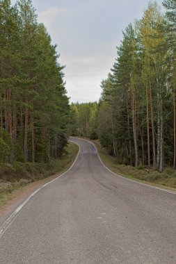 İlkbaharda bulutlu gökyüzü, Mntlahti, Kymenlaakso, Finlandiya kırsalında asfalt viraj yolu.