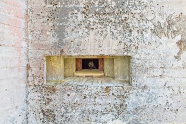 Eski bir makineli tüfek yuvasında makineli tüfekle açılan Hostikka, Lappeenranta, Finlandiya.