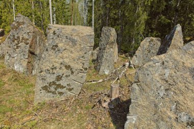 İkinci Dünya Savaşı 'ndan kalma 1200 km' lik bir savunma hattı olan Salpa Line 'daki Fin tanksavar kayaları, Hostikka, Ylamaa, Finlandiya.