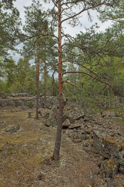 Pyterlahti 'nin tarihi Hevonniemi taş ocağı, 1820-30' larda I. Aleksandr 'in zafer kolonu için kazıldığı yer, Palace Square, Pyterlahti, Virolahti, Finlandiya.