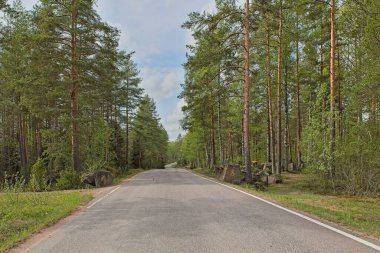 Asfalt Taavetintie yolu ilkbaharda gökyüzünde bulutlar, Miehikkala, Finlandiya.