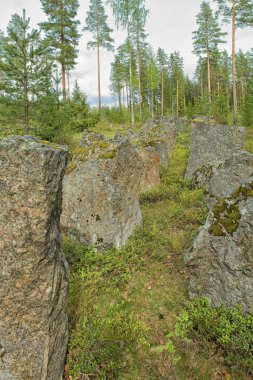 İkinci Dünya Savaşı sırasında ormanda tank bariyeri olarak yerleştirilen kayalar, Salpa-line müzesi, Miehikkala, Finlandiya. 
