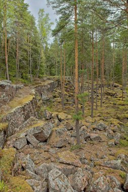 Pyterlahti 'nin tarihi Hevonniemi taş ocağı, 1820-30' larda kazıların yapıldığı yer, Virolahti, Finlandiya.