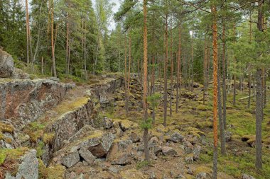 Pyterlahti 'nin tarihi Hevonniemi taş ocağı, 1820-30' larda kazıların yapıldığı yer, Virolahti, Finlandiya.