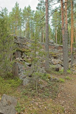 Pyterlahti 'nin tarihi Hevonniemi taş ocağı, 1820-30' larda kazıların yapıldığı yer, Virolahti, Finlandiya.