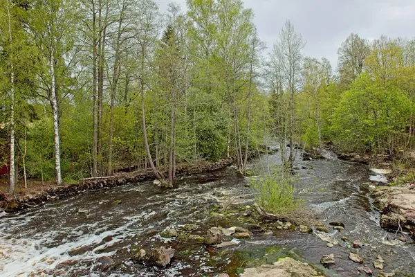 Virojoki nehri, Ylp Bulutlu bir bahar gününde, Virolahti, Finlandiya.