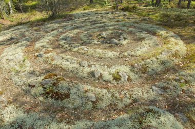 Ylikorvenkangas jatulintarha kayalık bir zeminde taşlardan oluşan labirent desenidir, fakat güneşli bir bahar gününde, Finlandiya 'nın Miehikkala kentinde, ormanda çok kötü bir şekilde büyümüştür..
