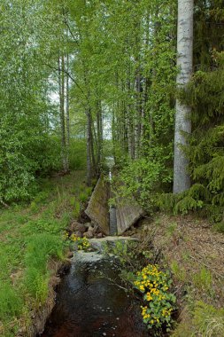 Saimaa göl sistemi ile Kymijoki nehir sistemi arasındaki eski Rutola paraşütü bulutlu bir bahar gününde, Lappeenranta, Finlandiya.