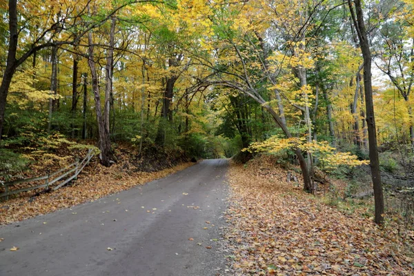 Sebuah Jalan Hutan Musim Gugur Dengan Daun Berwarna Warni — Stok Foto
