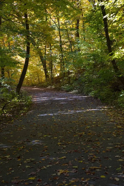 Uma Estrada Parque Forrado Com Árvores Temporada Outono — Fotografia de Stock