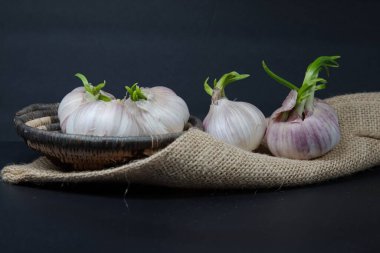 Gri arkaplanda çuval bezi üzerinde sarımsak soğanları.