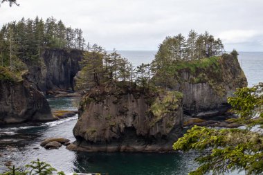 İki Canlı Deniz Yığını kuzeybatıdaki yemyeşil Pasifik kayalıklarıyla çevrilidir. Yüksek kalite fotoğraf