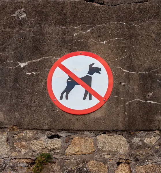 Taş duvarda köpek ve evcil hayvan işareti yok.