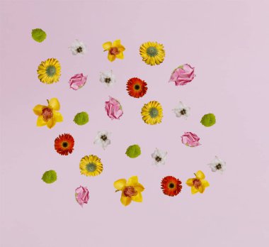 Pastel mor arka plana saçılmış renkli çiçekler. Minimum çiçek deseni. Boşluğu kopyala. 