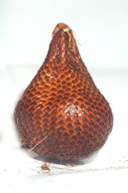 Yılan Meyvesi Tek Başına