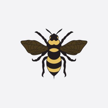 Arı logosu çizim simgesi logo şablonu