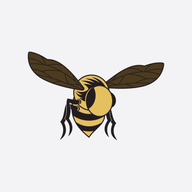 Arı logosu çizim simgesi logo şablonu