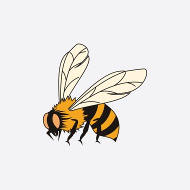 Arı logosu çizim simgesi logo şablonu