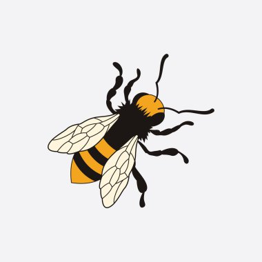 Arı logosu çizim simgesi logo şablonu