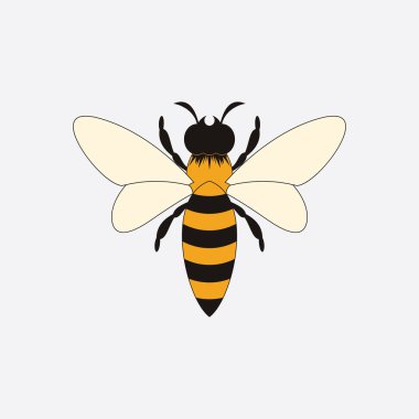 Arı logosu çizim simgesi logo şablonu