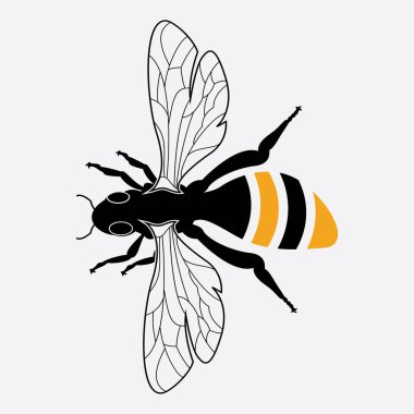 Arı logosu çizim simgesi logo şablonu