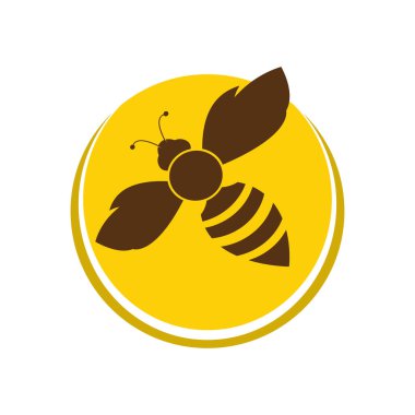 Arı vektörü illüstrasyon tasarım şablonu