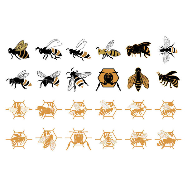 Вектор логотипа пчелы