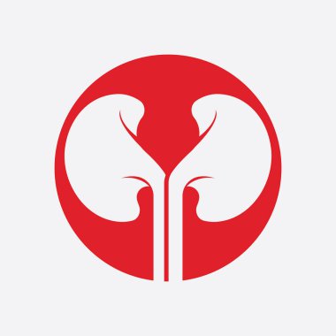 Böbrek simge vektör çizim.