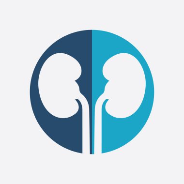 Böbrek simge vektör çizim.