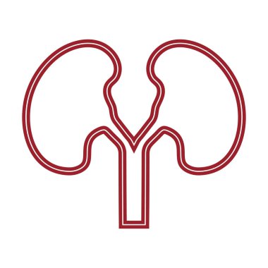 Böbrek simge vektör çizim.