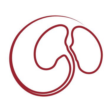 Böbrek simge vektör çizim.