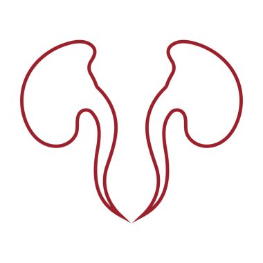 Böbrek simge vektör çizim.