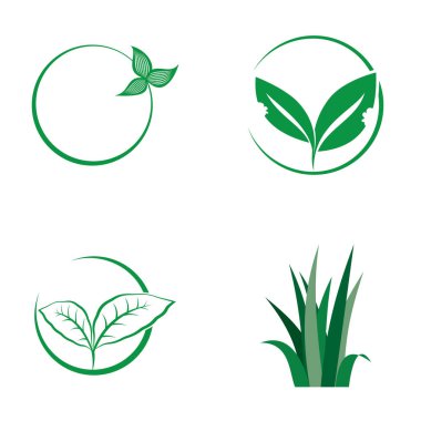 Doğal yaprak logosu, güzel, doğayla iç içe, dünya için yeşil..