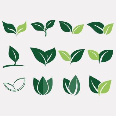 Yaprak logoları koleksiyonunun vektör resmi