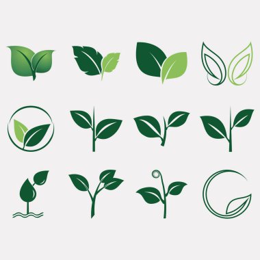 Yaprak logoları koleksiyonunun vektör resmi