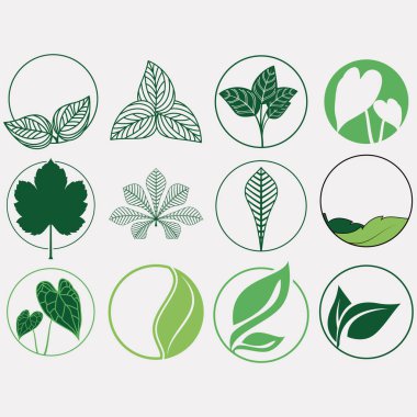 Yaprak logoları koleksiyonunun vektör resmi